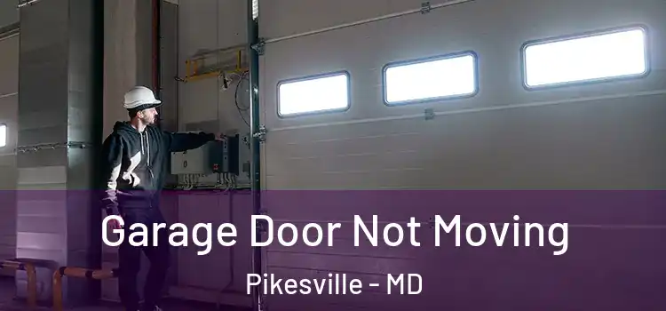  Garage Door Not Moving Pikesville - MD