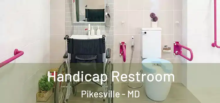  Handicap Restroom Pikesville - MD