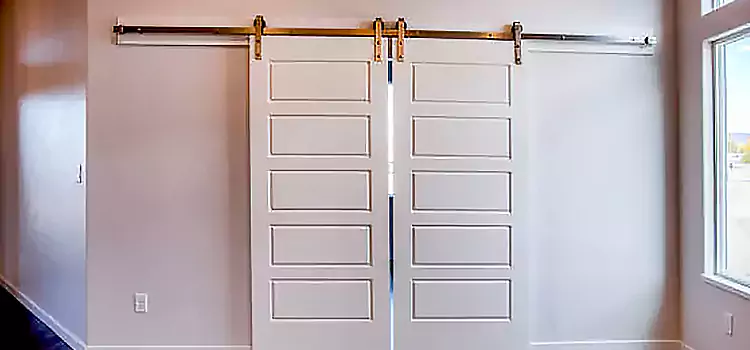 Glass Barn Door with Installation Hardware Kit Pikesville