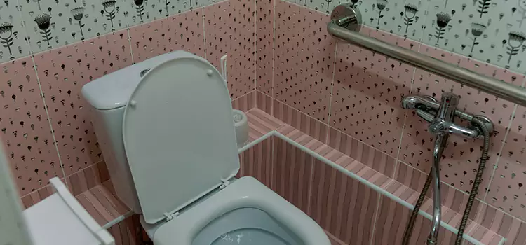 Meeting Diverse Needs With Accessible Restroom Solutions in Pikesville, MD