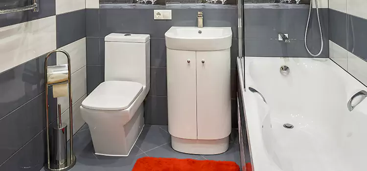 Hansgrohe Shaving Mirror Pikesville