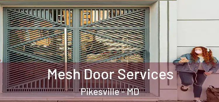  Mesh Door Services Pikesville - MD